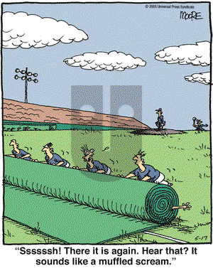 In the Bleachers on Tuesday May 17, 2005 Comic Strip