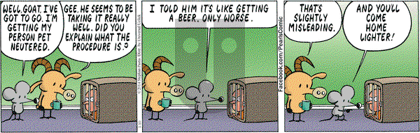 Pearls Before Swine on Friday January 10, 2014 Comic Strip