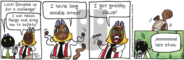 Breaking Cat News on Friday May 1, 2020 Comic Strip