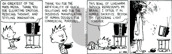 Calvin and Hobbes - Friday August 7, 1992 Comic Strip