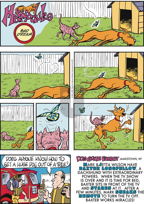 Marmaduke on Sunday October 3, 2021 Comic Strip