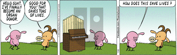 Pearls Before Swine on Saturday July 30, 2016 Comic Strip