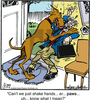 Marmaduke on Friday November 27, 2009 Comic Strip