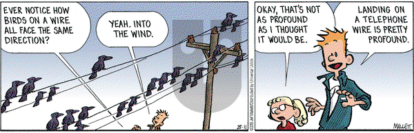 Frazz on Tuesday August 11, 2015 Comic Strip