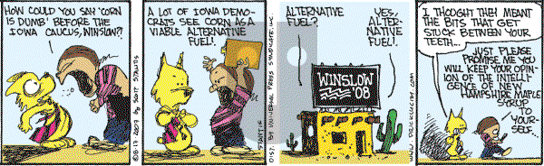 Prickly City on Friday August 17, 2007 Comic Strip