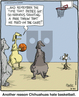 In the Bleachers on Thursday March 30, 2006 Comic Strip