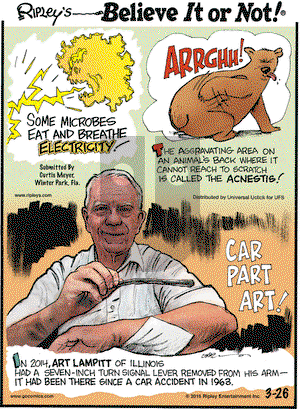 Ripley's Believe It or Not on Thursday March 26, 2015 Comic Strip