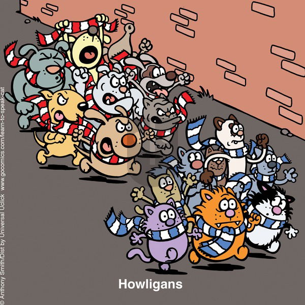 Learn to Speak Cat on Sunday March 2, 2025 Comic Strip