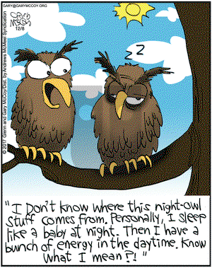 The Flying McCoys on Friday December 8, 2017 Comic Strip