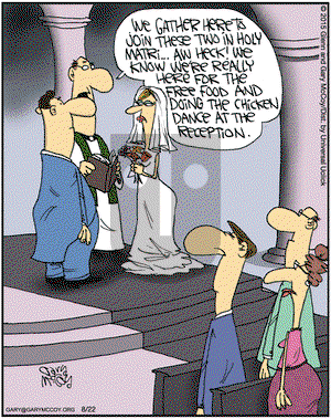 The Flying McCoys on Saturday August 22, 2015 Comic Strip