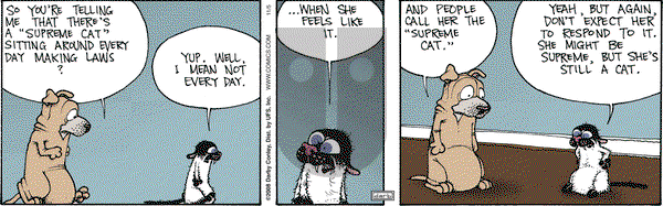 Get Fuzzy on Wednesday November 5, 2008 Comic Strip