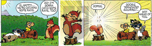 Over the Hedge on Monday May 29, 2017 Comic Strip
