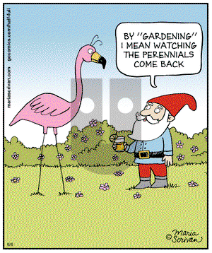 Half Full on Friday June 6, 2014 Comic Strip