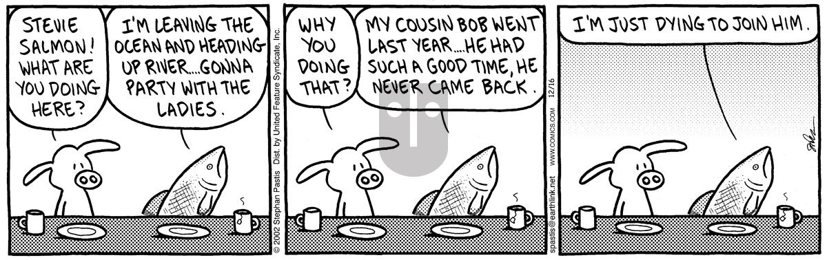 Pearls Before Swine - Monday December 16, 2002 Comic Strip