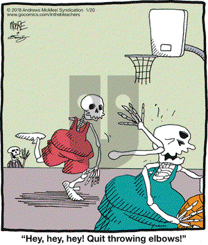 In the Bleachers on Saturday January 20, 2018 Comic Strip