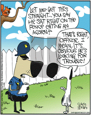 The Flying McCoys on Tuesday November 28, 2017 Comic Strip