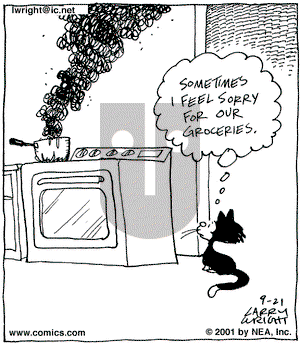 Kit 'N' Carlyle on Friday September 21, 2001 Comic Strip
