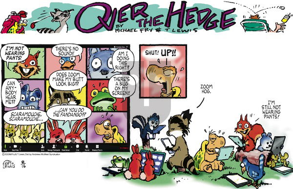 Over the Hedge on Sunday August 16, 2020 Comic Strip