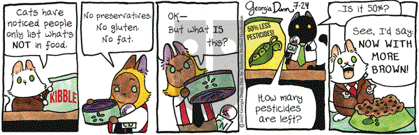 Breaking Cat News on Monday July 24, 2017 Comic Strip