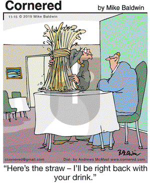 Cornered on Friday November 15, 2019 Comic Strip