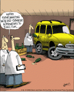 The Flying McCoys on Monday July 21, 2008 Comic Strip