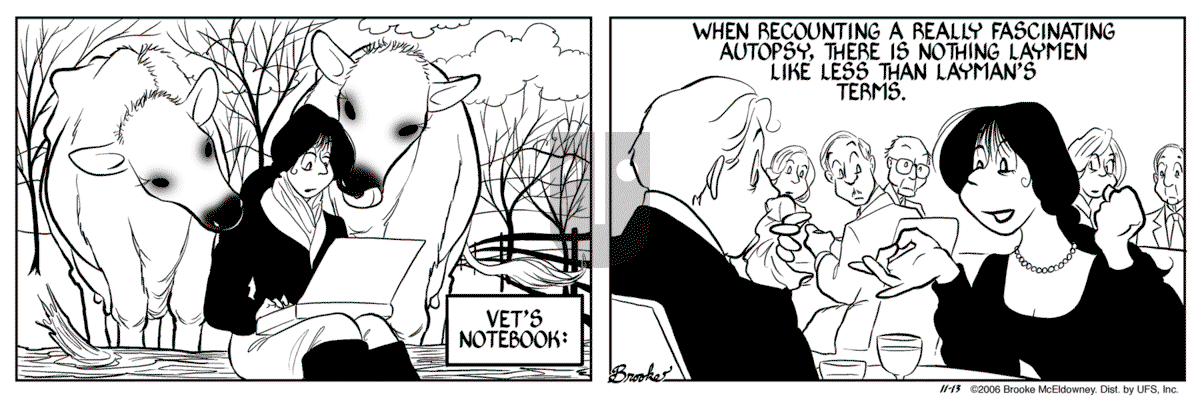 9 Chickweed Lane - Monday November 13, 2006 Comic Strip