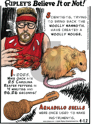 Ripley's Believe It or Not on Saturday April 12, 2025 Comic Strip