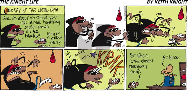 The Knight Life on Sunday November 24, 2013 Comic Strip