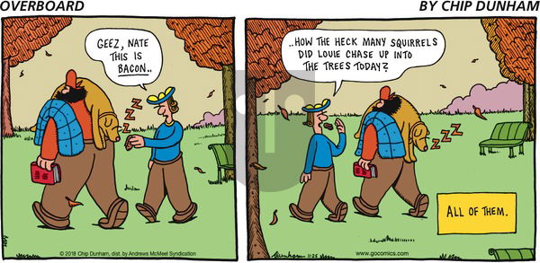 Overboard on Sunday November 25, 2018 Comic Strip