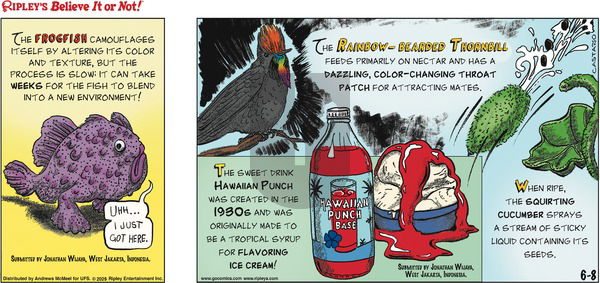 Ripley's Believe It or Not on Sunday June 8, 2025 Comic Strip