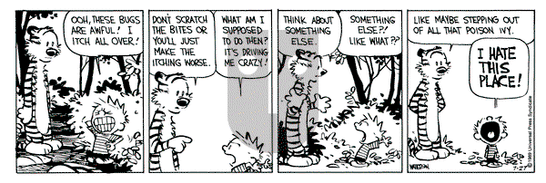 Calvin and Hobbes on Thursday July 27, 1989 Comic Strip