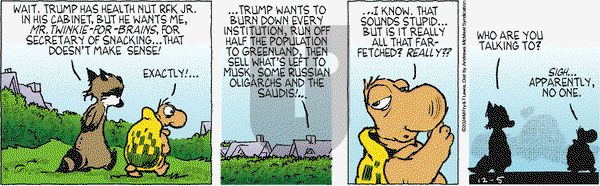 Over the Hedge - Thursday December 5, 2024 Comic Strip