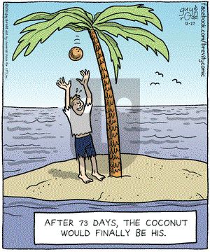 Brevity on Tuesday December 27, 2011 Comic Strip