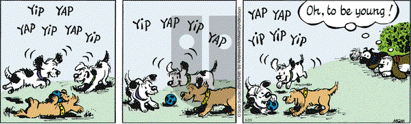 Fred Basset on Saturday May 25, 2019 Comic Strip