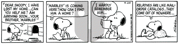 Peanuts on Friday September 24, 1982 Comic Strip