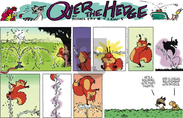 Over the Hedge on Sunday June 22, 2014 Comic Strip