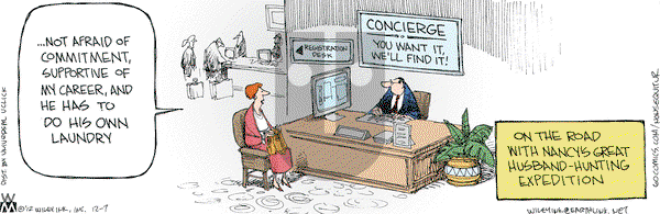 Non Sequitur on Friday December 7, 2012 Comic Strip