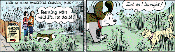 Fred Basset on Tuesday September 8, 2015 Comic Strip