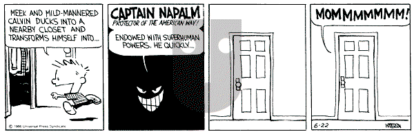 Calvin and Hobbes - Saturday June 22, 1991 Comic Strip