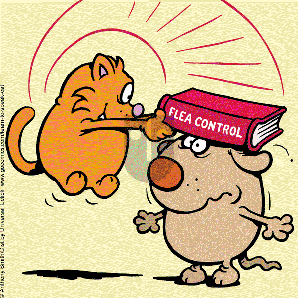 Learn to Speak Cat on Saturday May 17, 2025 Comic Strip