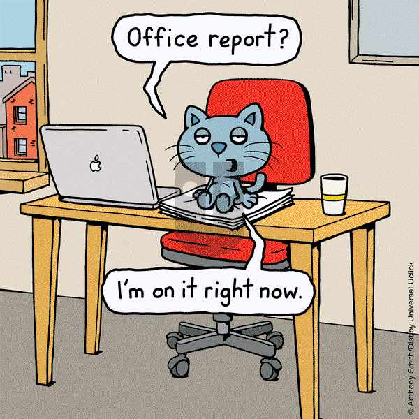 Cattitude — Doggonit on Thursday May 1, 2025 Comic Strip