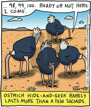 The Argyle Sweater on Tuesday July 4, 2017 Comic Strip