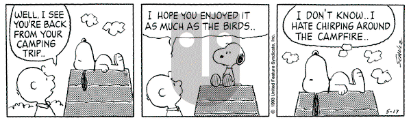Peanuts on Monday May 17, 1993 Comic Strip