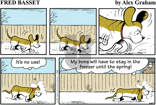Fred Basset on Sunday January 20, 2008 Comic Strip