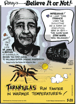 Ripley's Believe It or Not on Wednesday May 20, 2015 Comic Strip