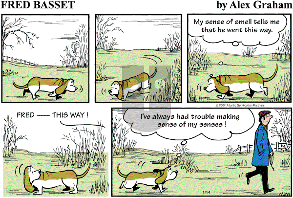 Fred Basset on Sunday January 14, 2007 Comic Strip