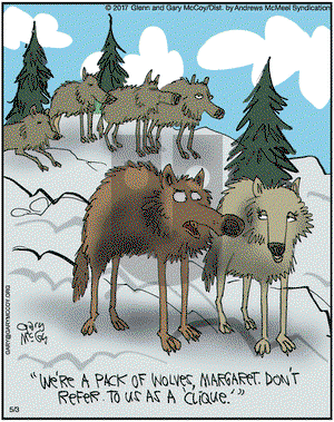 The Flying McCoys on Wednesday May 3, 2017 Comic Strip