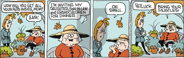 Family Tree - Monday November 3, 2008 Comic Strip