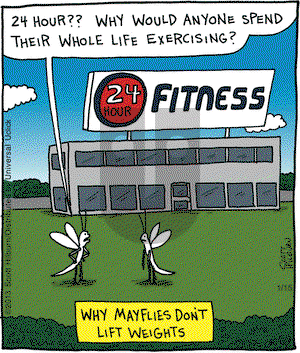 The Argyle Sweater on Tuesday January 15, 2013 Comic Strip