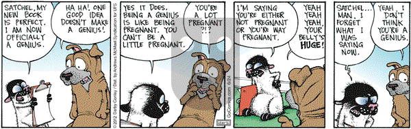 Get Fuzzy - Monday June 24, 2024 Comic Strip